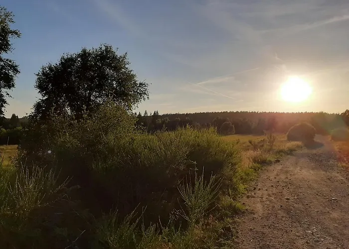 Ferienhaus Haus Luna *