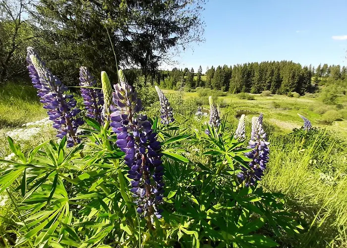 Ferienhaus Haus Luna